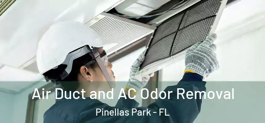 Air Duct and AC Odor Removal Pinellas Park - FL