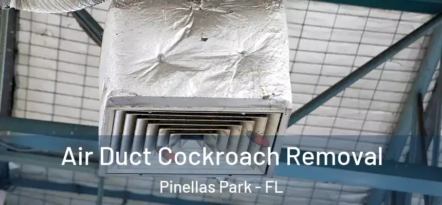 Air Duct Cockroach Removal Pinellas Park - FL