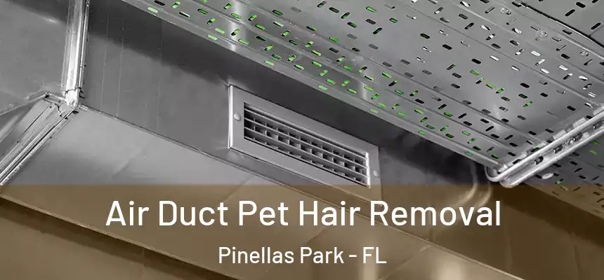Air Duct Pet Hair Removal Pinellas Park - FL