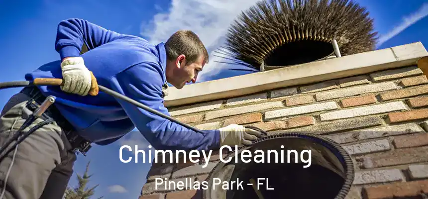 Chimney Cleaning Pinellas Park - FL