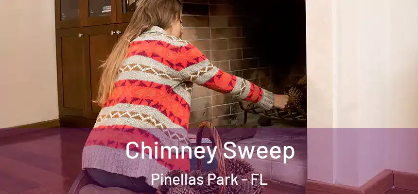 Chimney Sweep Pinellas Park - FL