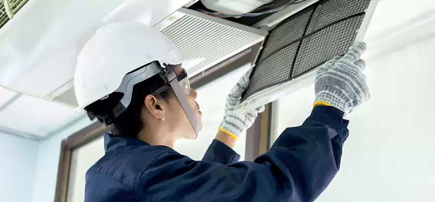 Our Mold & Mildew Removal from Air Ducts Services in Pinellas Park, FL