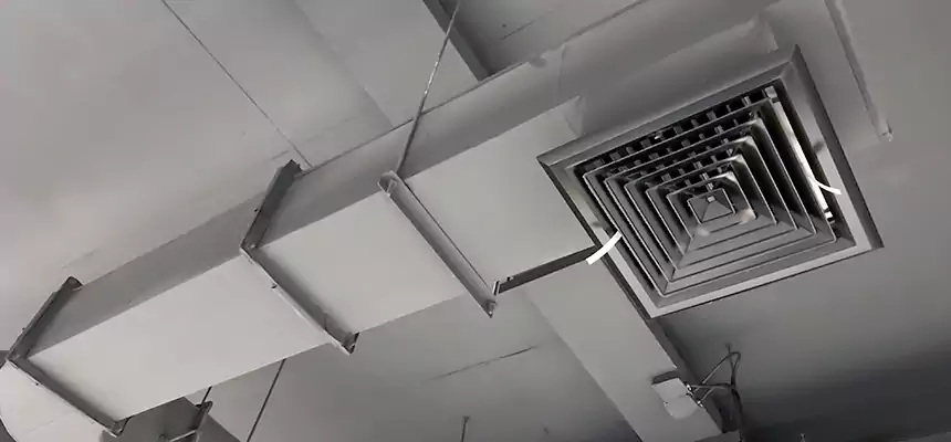 Our Pest Removal From Ducts Services in Pinellas Park, FL