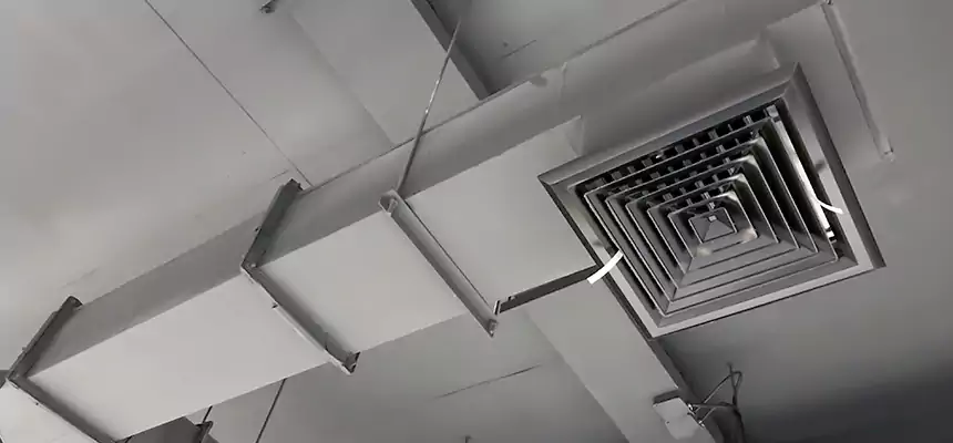 Our Rodent Droppings In Vents Services in Pinellas Park, FL