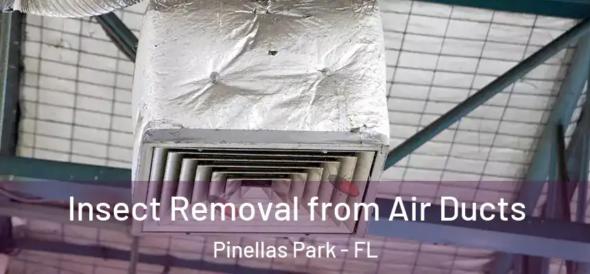 Insect Removal from Air Ducts Pinellas Park - FL
