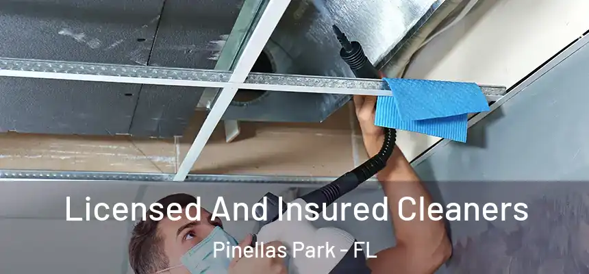 Licensed And Insured Cleaners Pinellas Park - FL