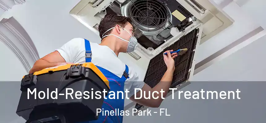 Mold-Resistant Duct Treatment Pinellas Park - FL