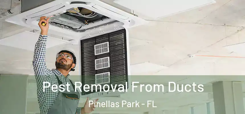Pest Removal From Ducts Pinellas Park - FL