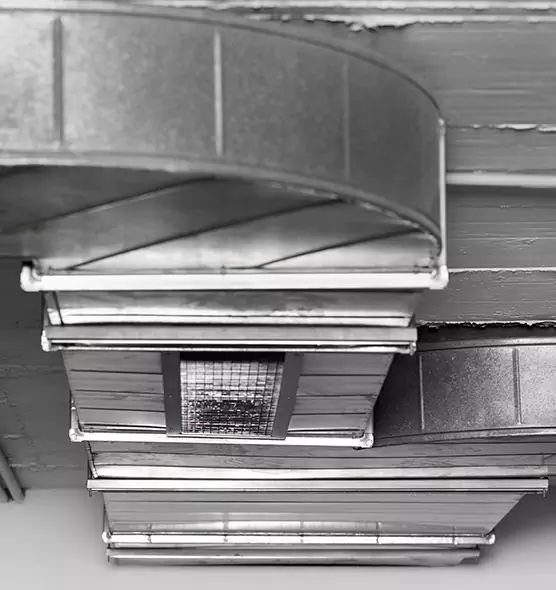 Professional Air Duct Pet Hair Removal in Pinellas Park, FL