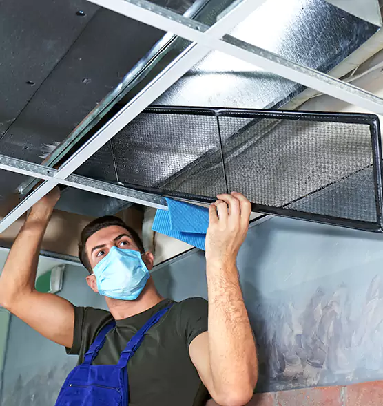 Professional Air Duct Pollen Cleaning in Pinellas Park, FL