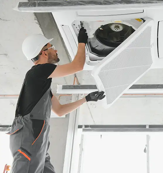 About Air Duct Rodent Removal in Pinellas Park, FL