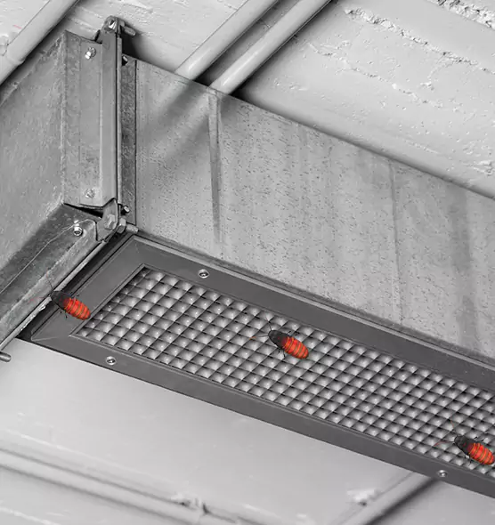 Affordable Insect Removal from Air Ducts in Pinellas Park, FL
