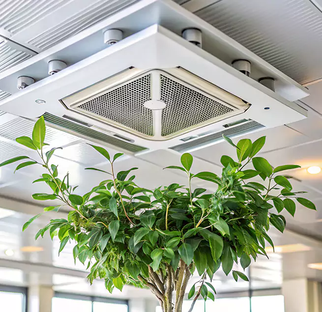 Why Homeowners & Businesses Trust Us in Pinellas Park, FL