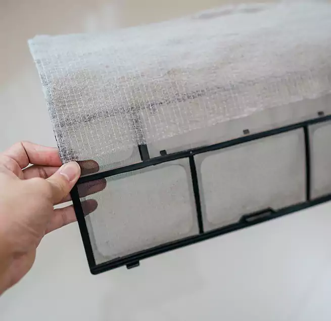 Why Homeowners & Businesses Trust Us in Pinellas Park, FL?