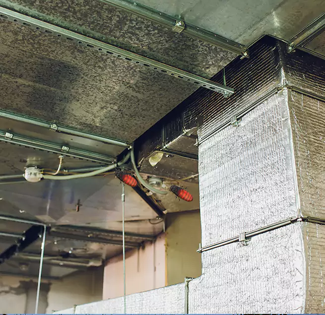 Why Homeowners & Businesses Trust Us Pinellas Park, FL?