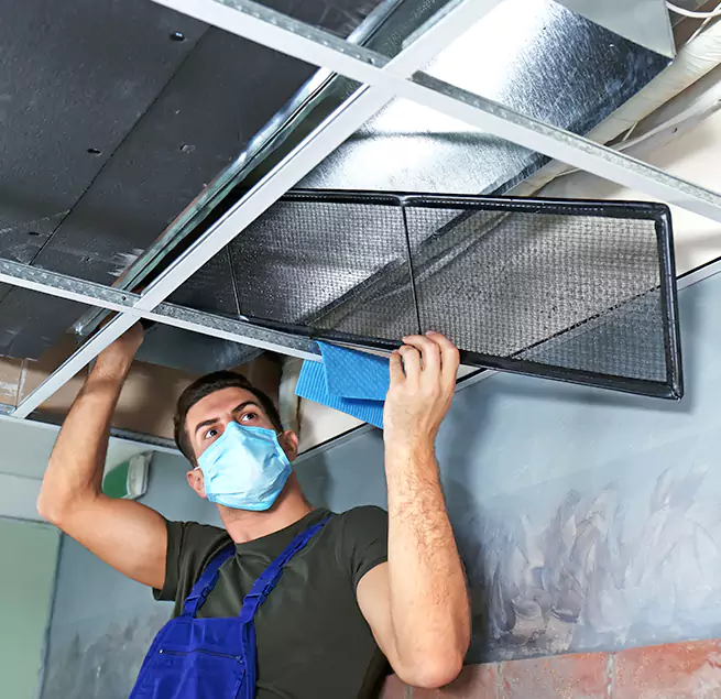 Why Homeowners Businesses Trust Us in Pinellas Park, FL?