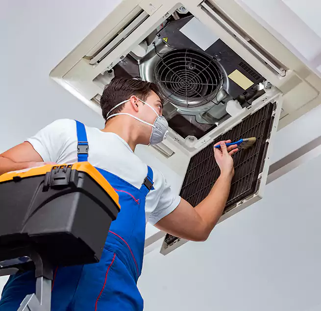 Why Homeowners & Businesses Trust Us in Pinellas Park, FL?